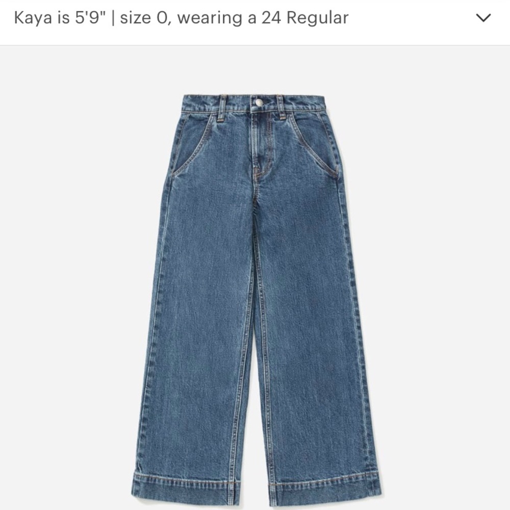 Everlane The Wide Leg Jean 25R
